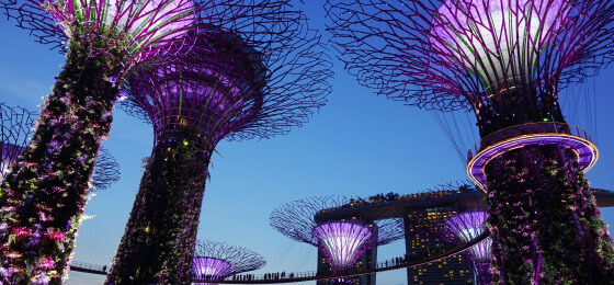 photo-of-Singapore-solar-powered-supertrees