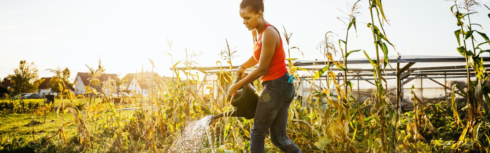 Lady Gardening