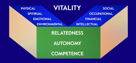 vitality index